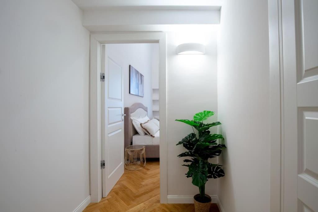 Dimora Nuvola Apartament 피렌체 외부 사진
